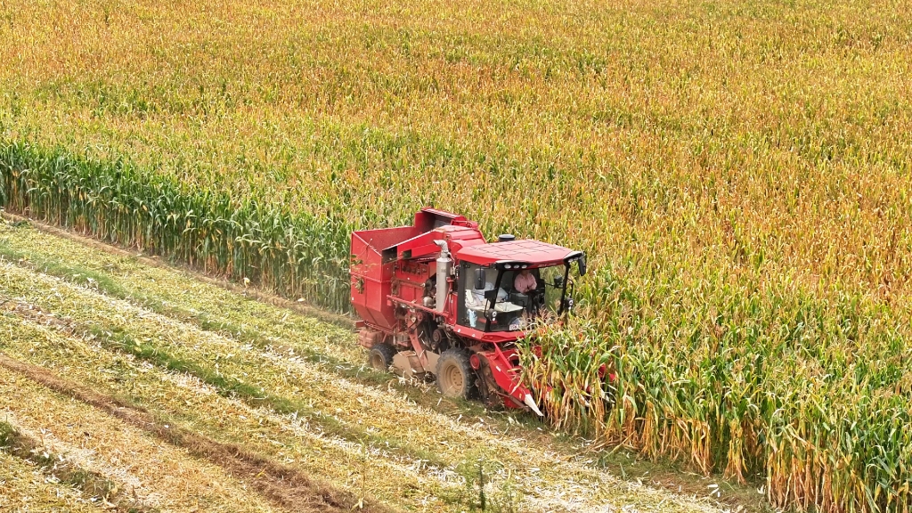 28圈APP谷神玉米收获机节油减损